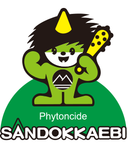 Sandokkaebi